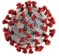 Covid 19 virus